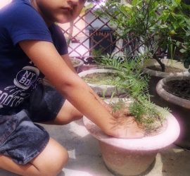 Van Mahotsav Week - Plantation drive at Seth Anandram Jaipuria School Nanpara (1)