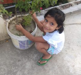 Van Mahotsav Week - Plantation drive at Seth Anandram Jaipuria School Nanpara (10)