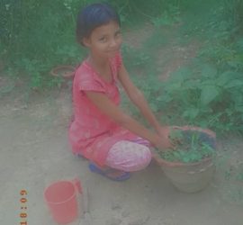 Van Mahotsav Week - Plantation drive at Seth Anandram Jaipuria School Nanpara (12)