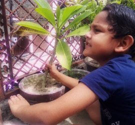 Van Mahotsav Week - Plantation drive at Seth Anandram Jaipuria School Nanpara (17)