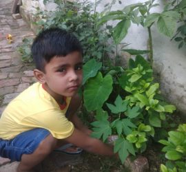 Van Mahotsav Week - Plantation drive at Seth Anandram Jaipuria School Nanpara (2)