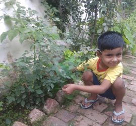 Van Mahotsav Week - Plantation drive at Seth Anandram Jaipuria School Nanpara (3)