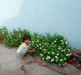 Van Mahotsav Week - Plantation drive at Seth Anandram Jaipuria School Nanpara (6)