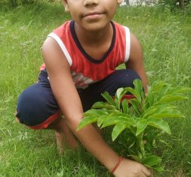 Van Mahotsav Week - Plantation drive at Seth Anandram Jaipuria School Nanpara (9)